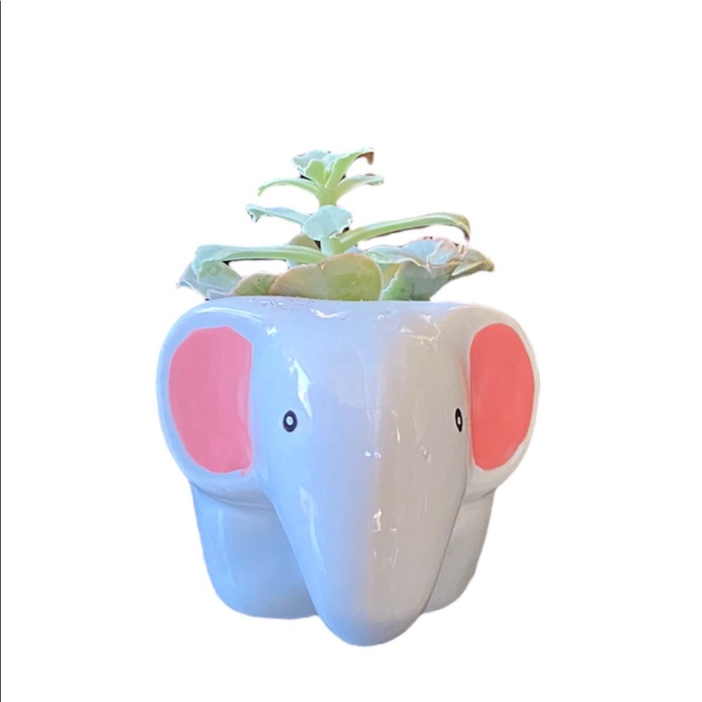 Elephant Planter Only - Succulent Plant Not Included